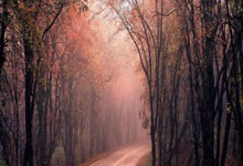 开云官网-红黑梦碎圣西罗！争议哨声如何熄灭AC米兰的争冠火焰？