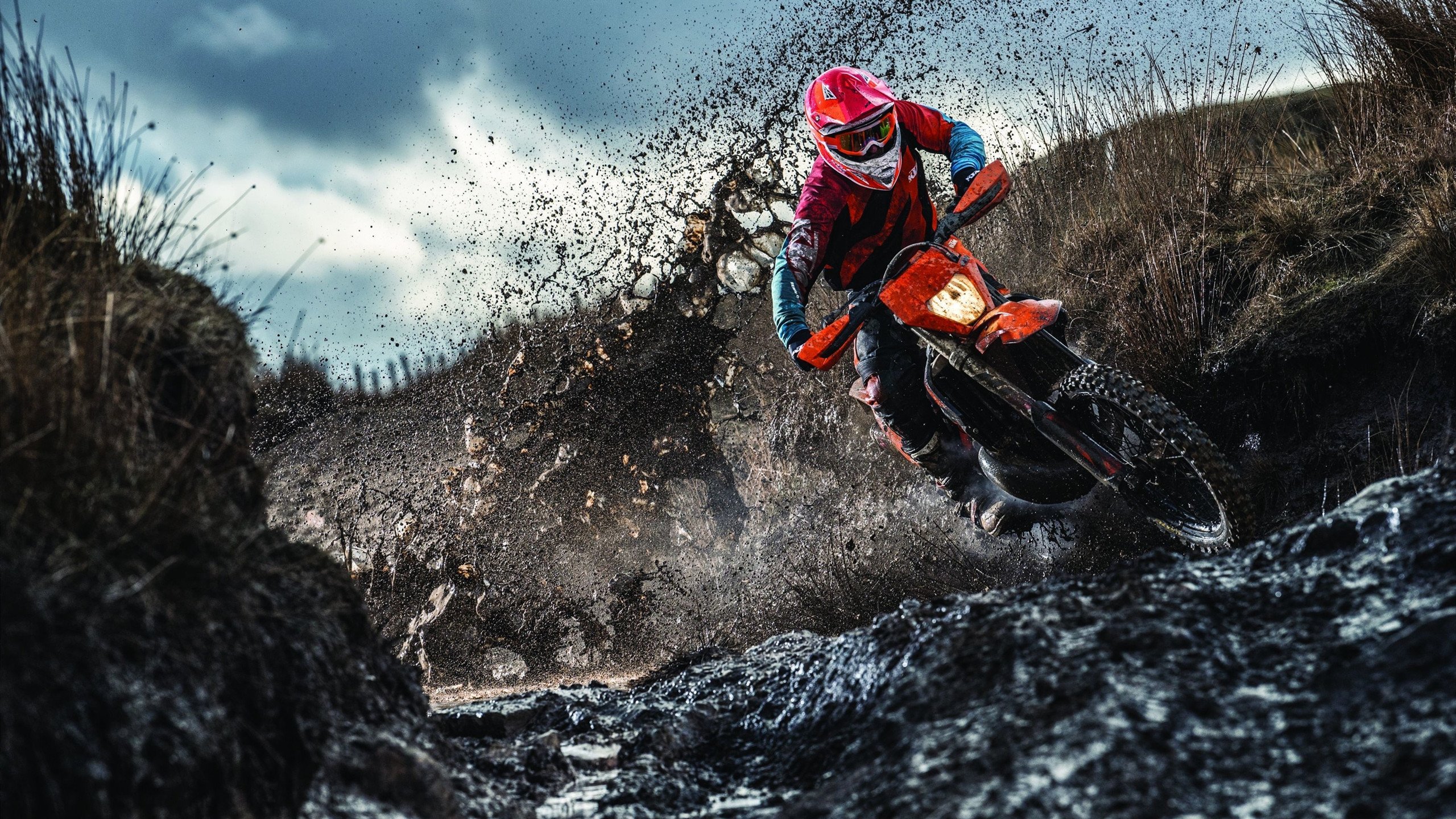 福克斯惊艳四座，雄鹿战术体系全面压制北京队