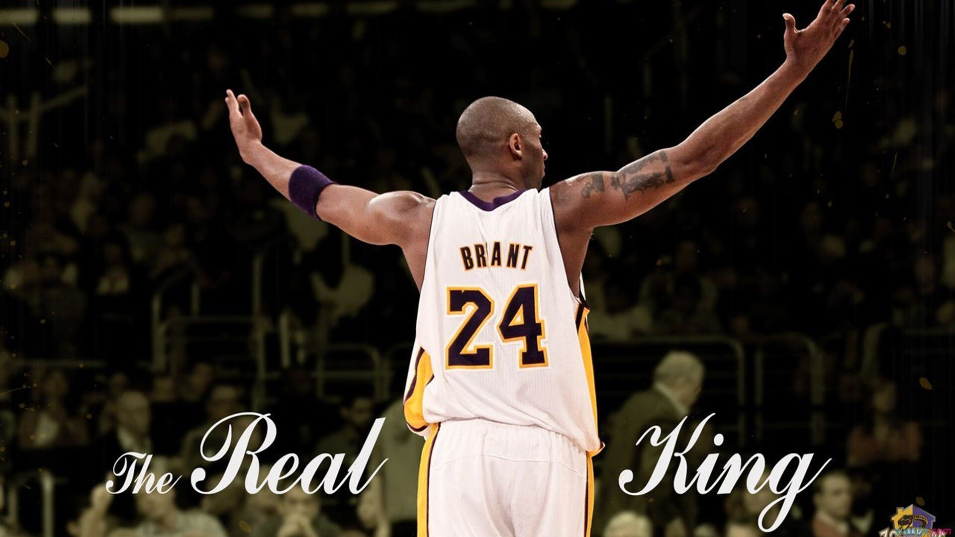 冰封与烈焰，英格拉姆的生死夜觉醒